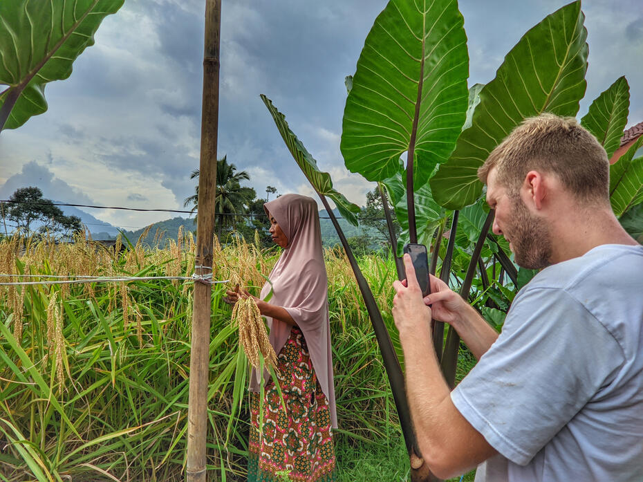 See How Local Way Of Life